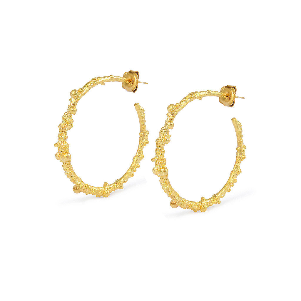 Encrusted Hoops Encrusted Hoops