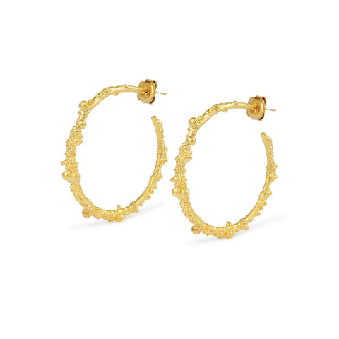 Encrusted Hoops