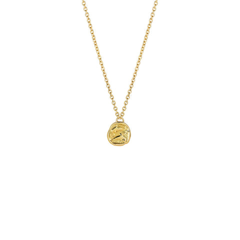 Delphus Gold Necklace